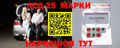 гашик Донской