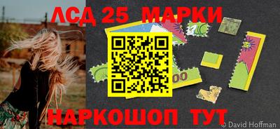 гашик Донской