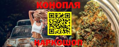 гашик Донской