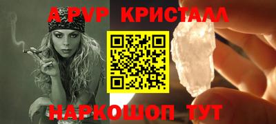 гашик Донской