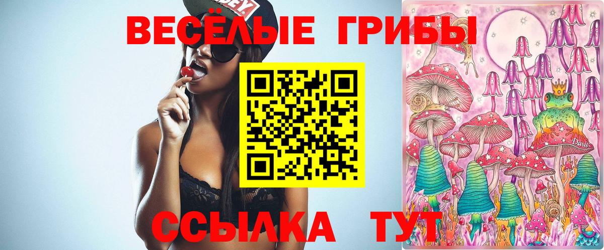 Псилоцибиновые грибы Magic Shrooms  наркотики  Елец  Вход с VPN 